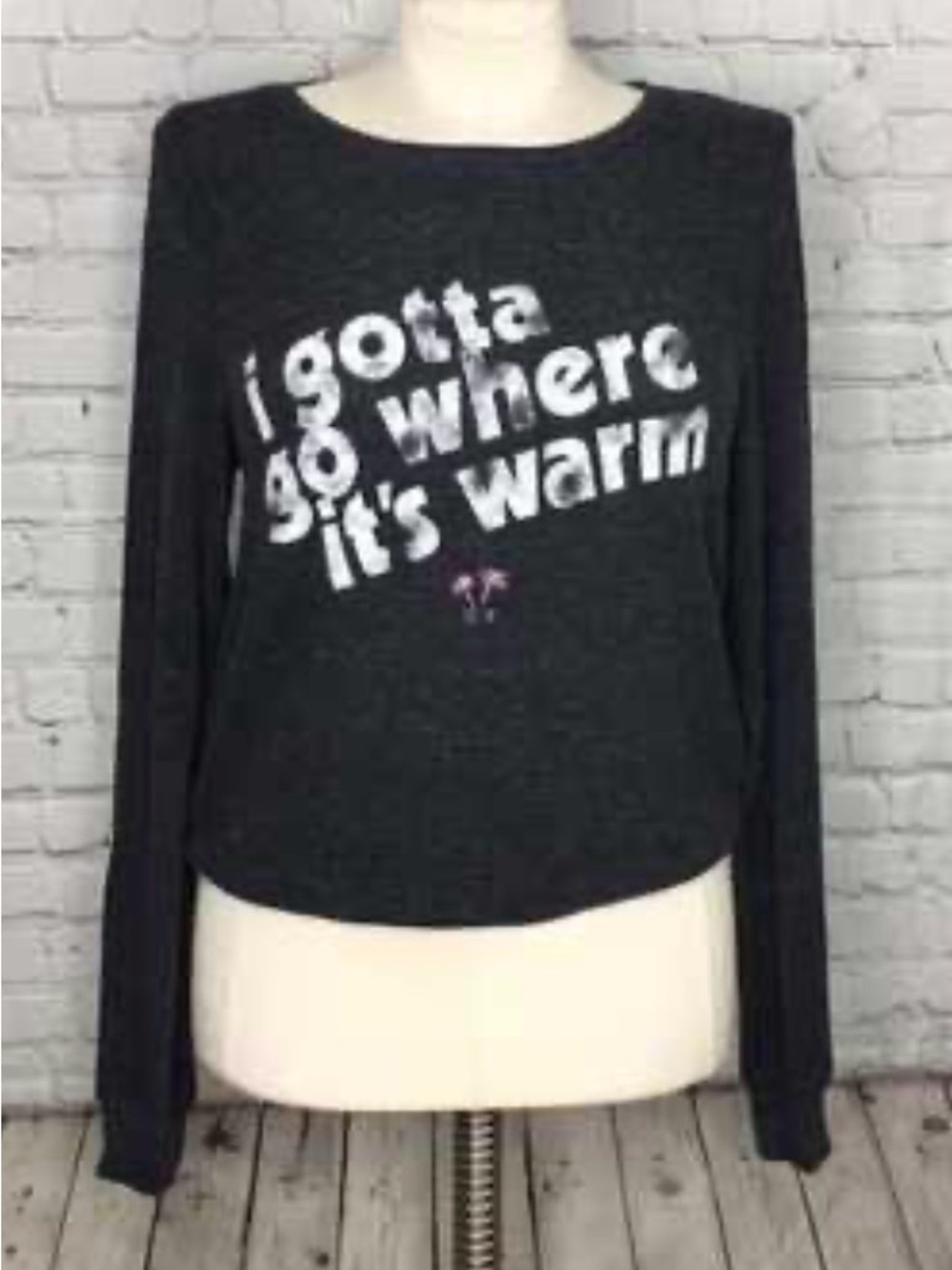 Wildfox Dark Gray Crewneck Sweater with Graphic “I Gotta Go Where It’s Warm”